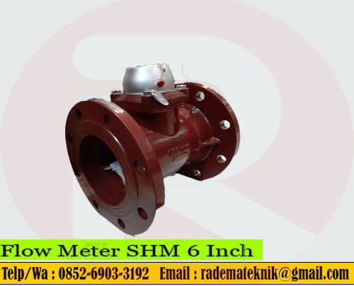 Flow Meter SHM 6 Inch