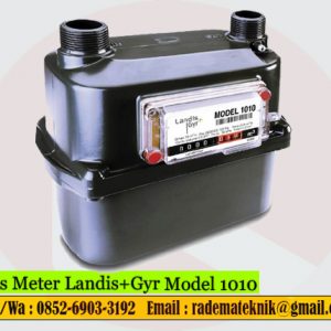 Gas Meter Landis+Gyr 1010