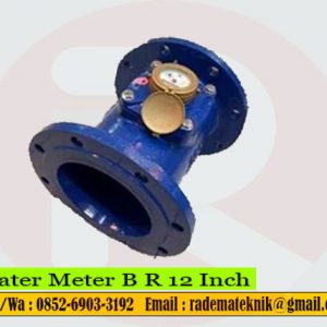 Water Meter B R 12 Inch