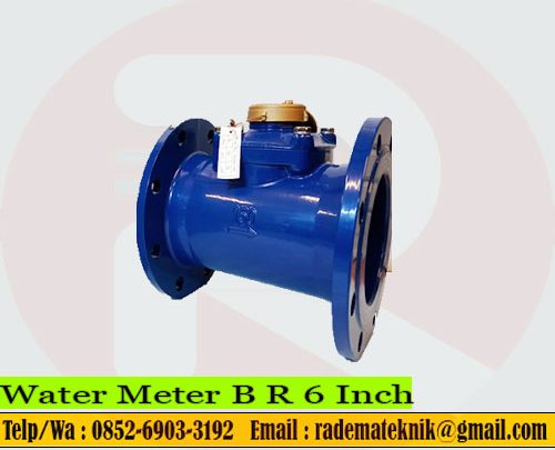 Water Meter BR 6 Inch