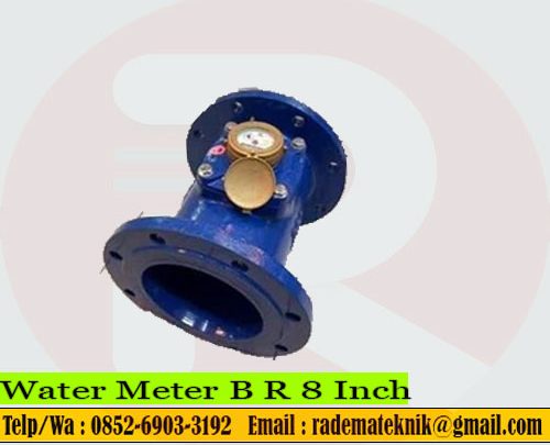 Water Meter BR 8 Inch