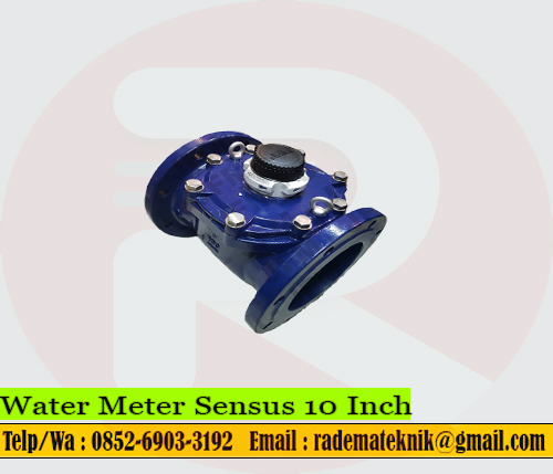 Water Meter Sensus 10 Inch