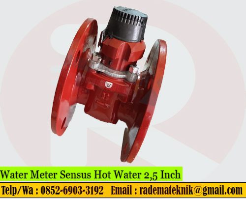 Flow Meter Air Panas Sensus 2 1/2 Inch