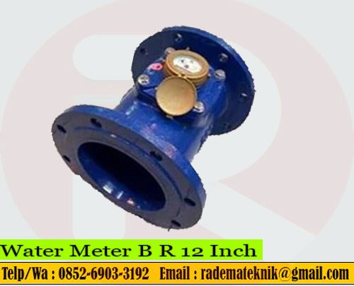 Water Meter B R 12 Inch