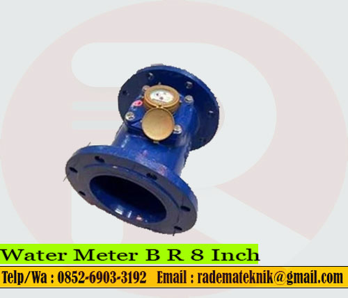 Water Meter B R 8 Inch