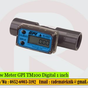 Flow Meter GPI TM100 Digital 1 inch
