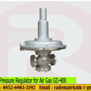 Yoshitake Pressure Regulator for Air, Gas GD-400