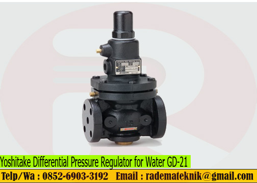 Yoshitake Differential Pressure Regulator for Water GD-21