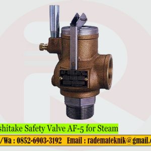 Yoshitake Safety Valve AF-5 for Steam