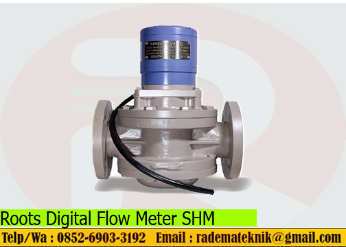 Roots Digital Flow Meter SHM