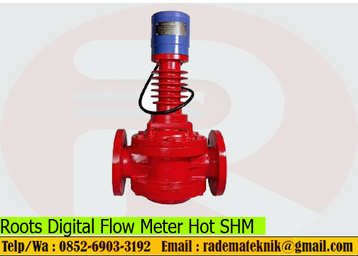 Roots Digital Flow Meter Hot SHM